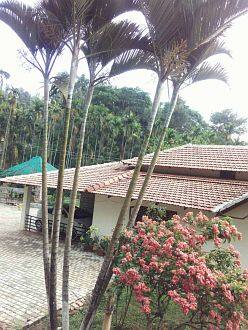 Nature Light Homestay CHIKMAGALUR, Chikmaglur 1